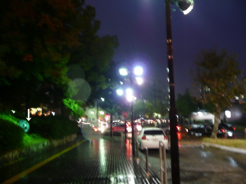 b0118987_5501845.jpg