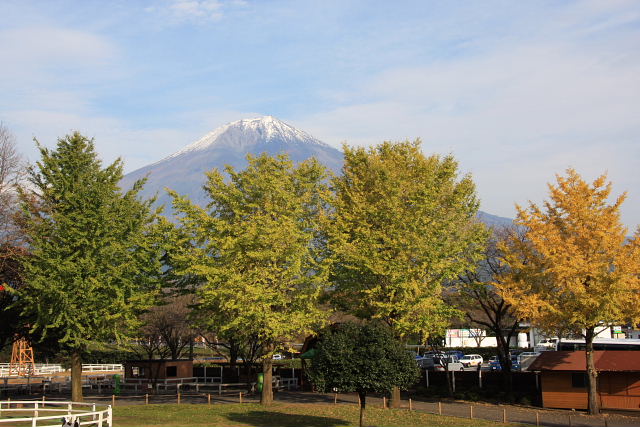 b0104592_17311365.jpg