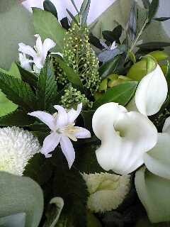 b0118793_13552346.jpg