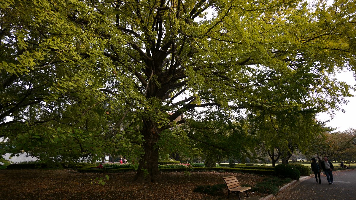 c0124795_2258571.jpg