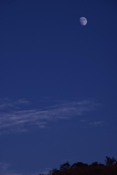 d0069495_092519.jpg