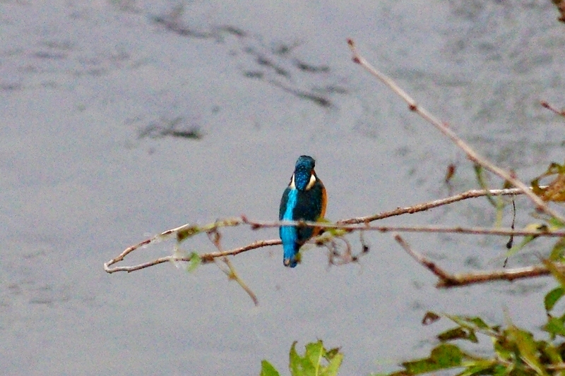 c0125596_18515131.jpg