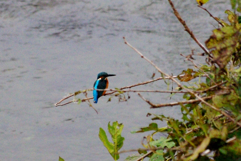 c0125596_18533882.jpg