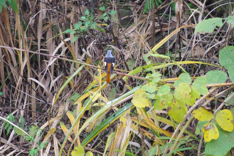 c0125596_1942011.jpg