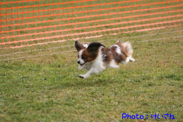 c0044199_12155740.jpg
