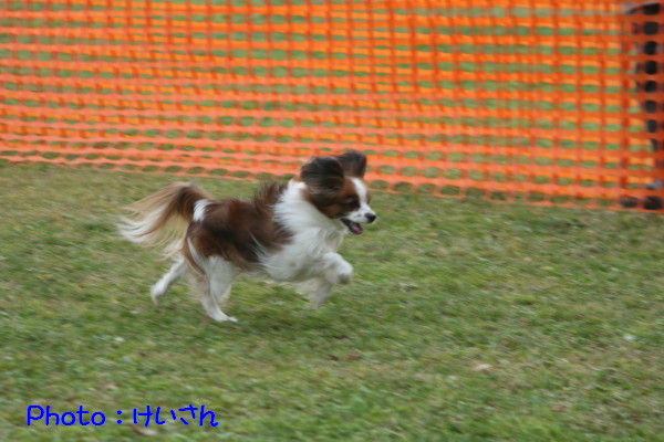 c0044199_12173289.jpg