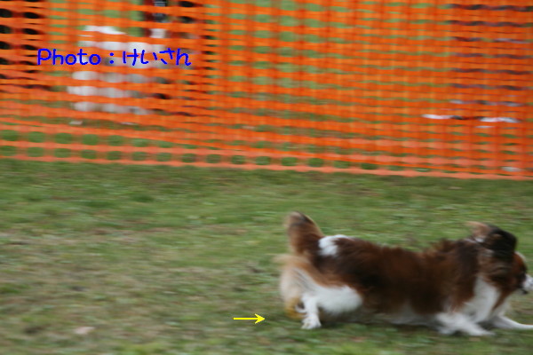 c0044199_12175078.jpg