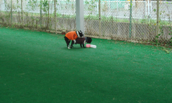c0094999_1750339.jpg