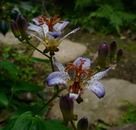a0031000_22582095.jpg