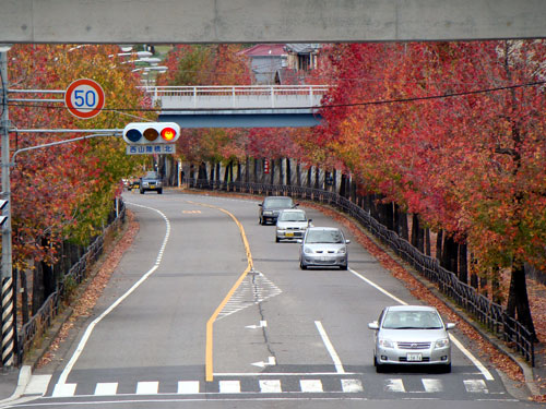 a0047200_185147100.jpg