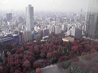 a0022202_0361859.jpg