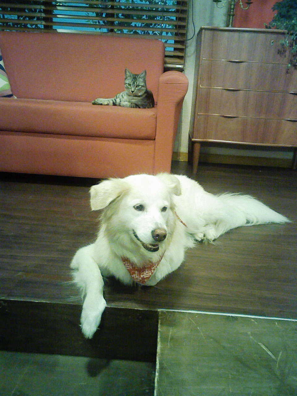 a0032004_22371832.jpg