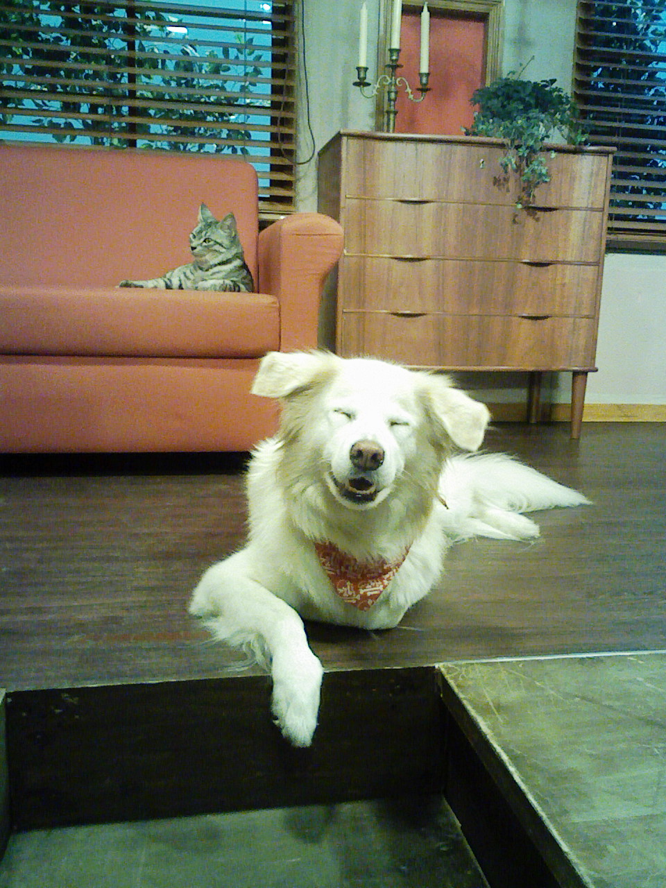 a0032004_2263727.jpg