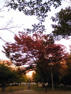 c0097806_1423627.jpg