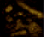 e0103408_640402.gif