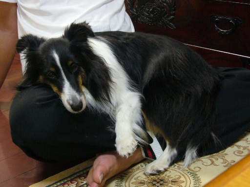 e0130008_19425467.jpg