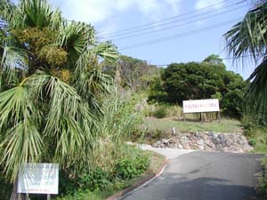 b0076710_11164179.jpg