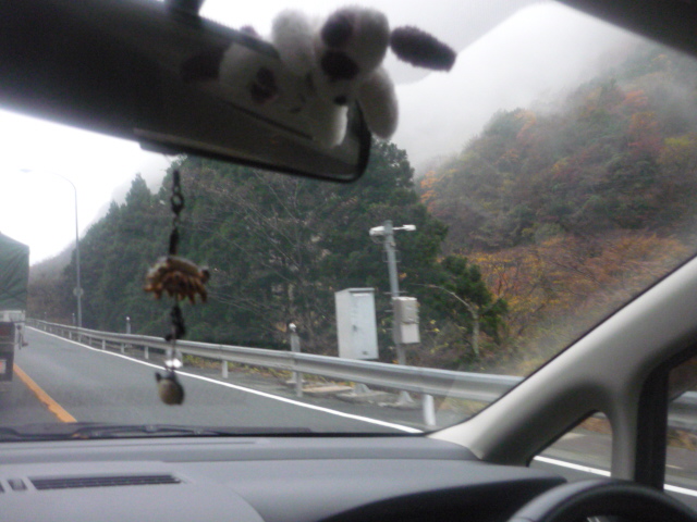 c0193017_22462462.jpg
