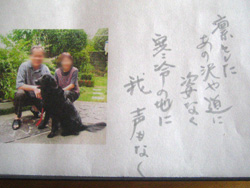 c0012120_0584698.jpg