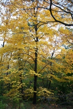 f0151222_10565774.jpg