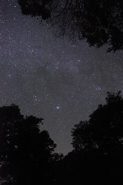d0148125_20334249.jpg