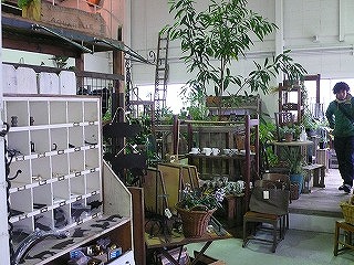 c0130226_16132779.jpg