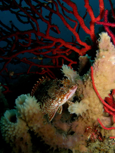 c0034029_23561687.jpg