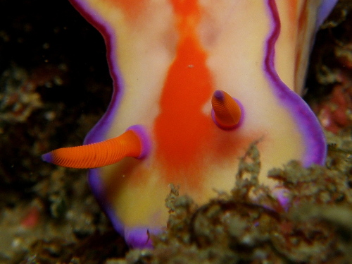 c0034029_235666.jpg