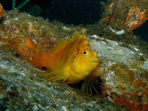c0034029_2357295.jpg