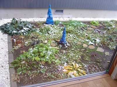 f0205733_17303176.jpg