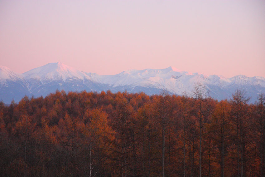 d0069235_22112019.jpg