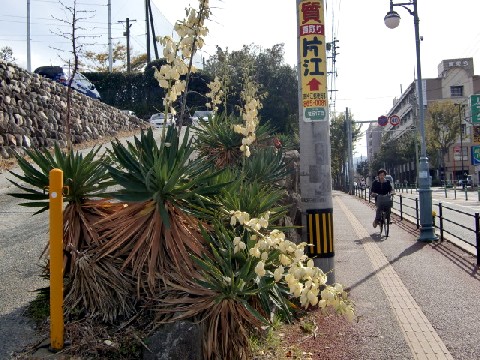 b0012636_13542457.jpg