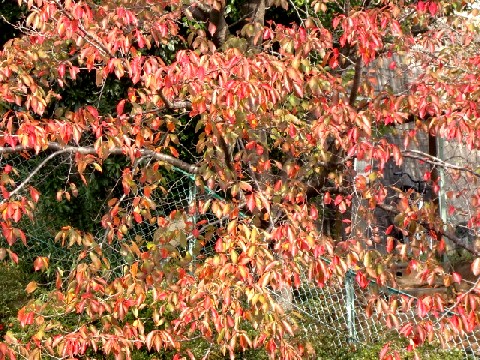 b0012636_1355391.jpg