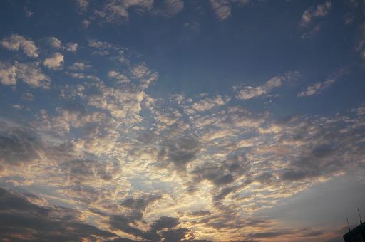c0110236_2254409.jpg