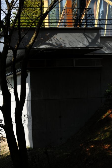 e0011137_20302429.jpg