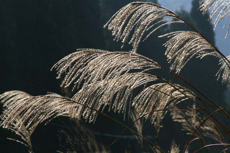 c0179844_87394.jpg