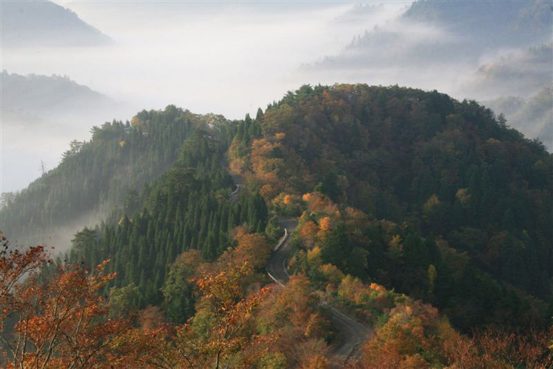 c0179844_93927.jpg