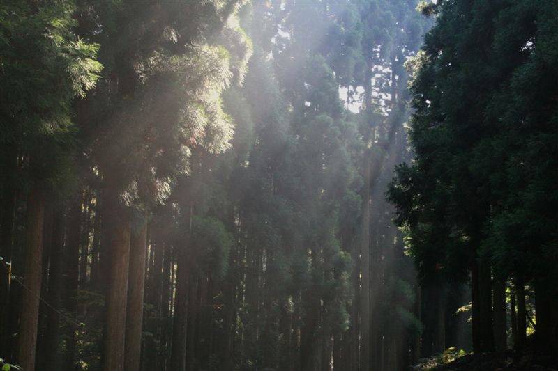 c0179844_9395791.jpg