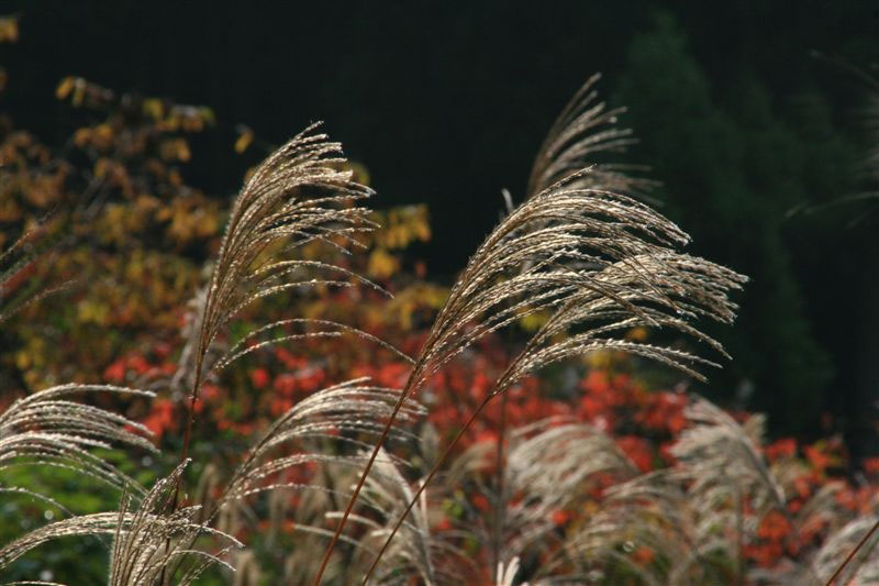 c0179844_9421393.jpg