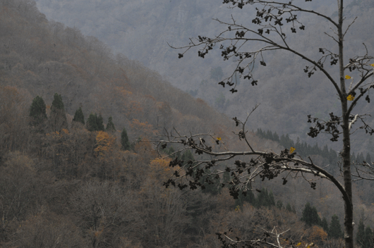 c0093046_739327.gif
