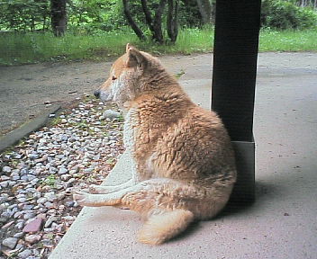e0085052_826516.jpg