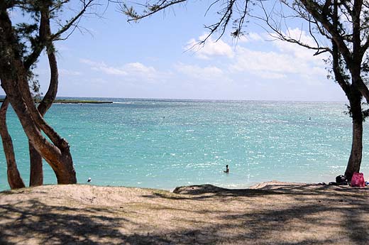 e0050753_21365824.jpg