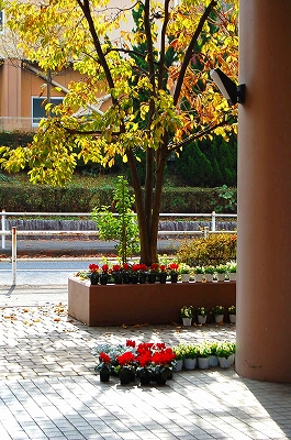 e0025655_543223.jpg