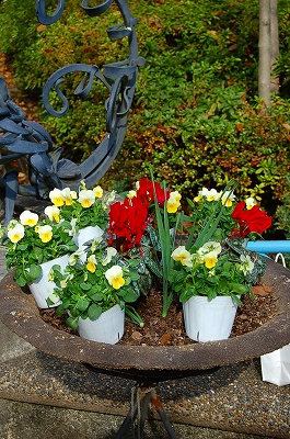 e0025655_61959.jpg