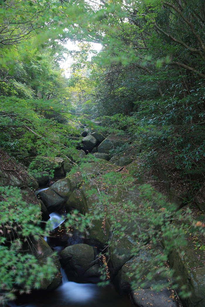 d0148060_2240085.jpg
