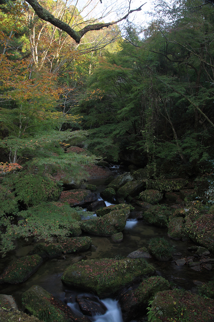 d0148060_2242917.jpg