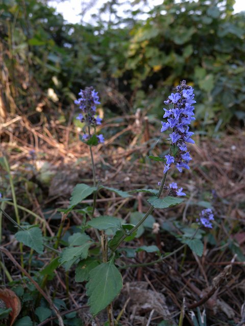 b0104861_23215899.jpg