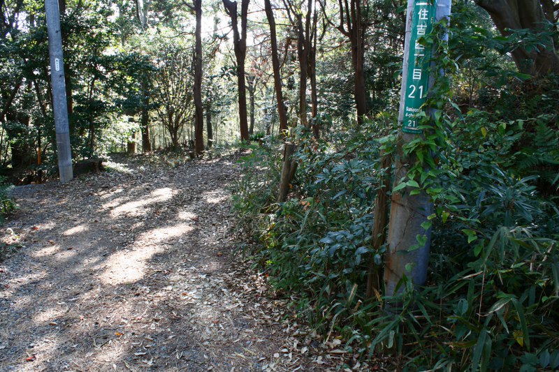 d0079764_20511411.jpg
