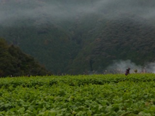 f0055264_2011291.jpg
