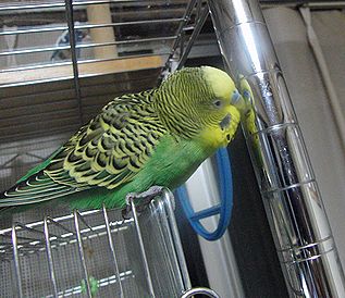f0196665_023329.jpg